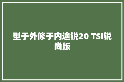 型于外修于内途锐20 TSI锐尚版 汽车知识