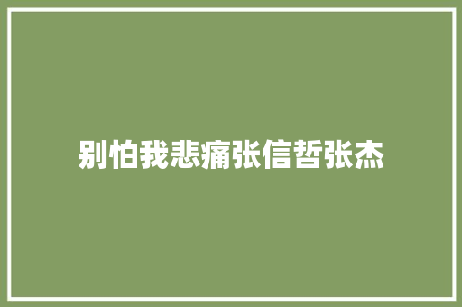 别怕我悲痛张信哲张杰