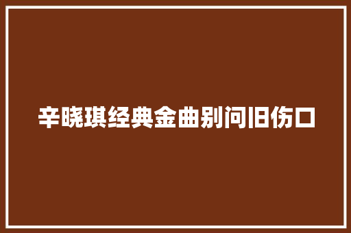 辛晓琪经典金曲别问旧伤口