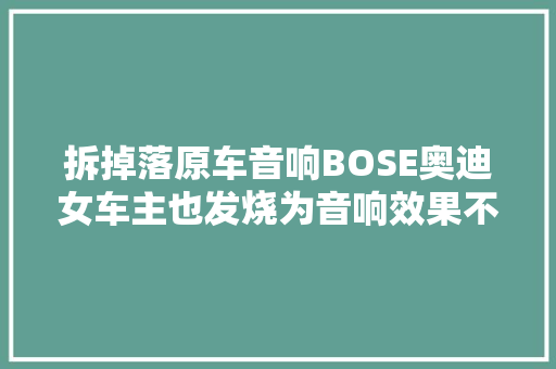 拆掉落原车音响BOSE奥迪女车主也发烧为音响效果不惜重本