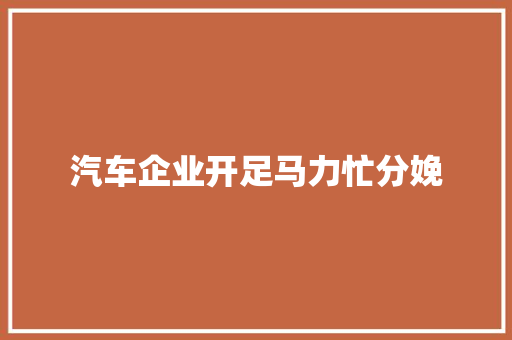 汽车企业开足马力忙分娩