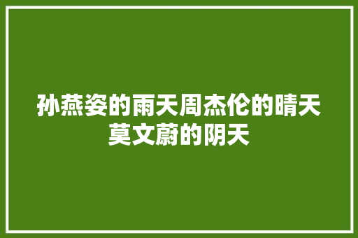 孙燕姿的雨天周杰伦的晴天莫文蔚的阴天 休闲娱乐