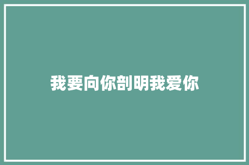 我要向你剖明我爱你