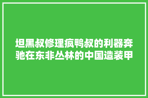 坦黑叔修理疯鸭叔的利器奔驰在东非丛林的中国造装甲列车的传奇