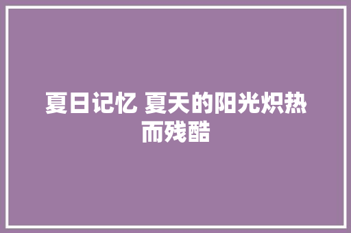 夏日记忆 夏天的阳光炽热而残酷
