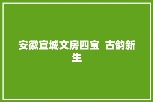 安徽宣城文房四宝  古韵新生