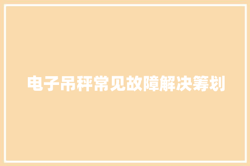 电子吊秤常见故障解决筹划