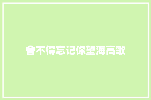 舍不得忘记你望海高歌