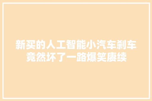 新买的人工智能小汽车刹车竟然坏了一路爆笑赓续