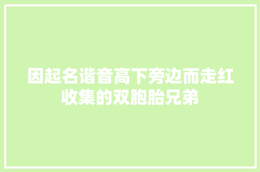 因起名谐音高下旁边而走红收集的双胞胎兄弟