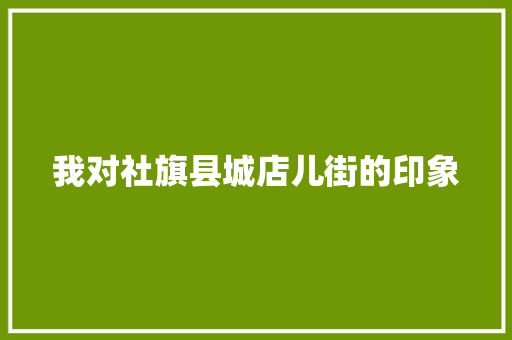 我对社旗县城店儿街的印象