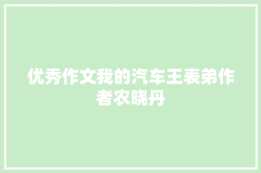 优秀作文我的汽车王表弟作者农晓丹
