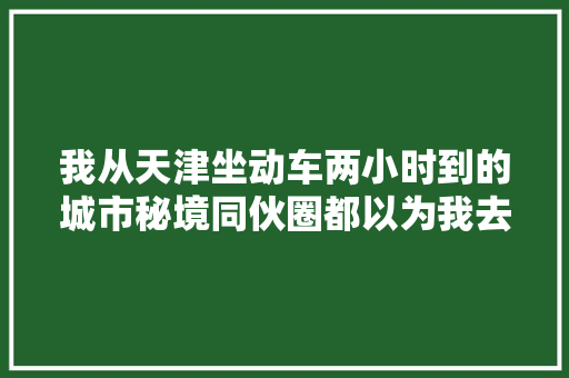 我从天津坐动车两小时到的城市秘境同伙圈都以为我去了霍格沃茨