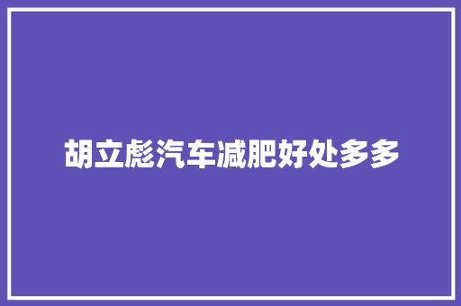 胡立彪汽车减肥好处多多