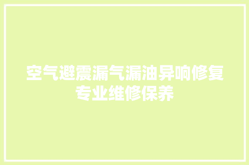空气避震漏气漏油异响修复专业维修保养