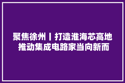 聚焦徐州丨打造淮海芯高地 推动集成电路家当向新而行