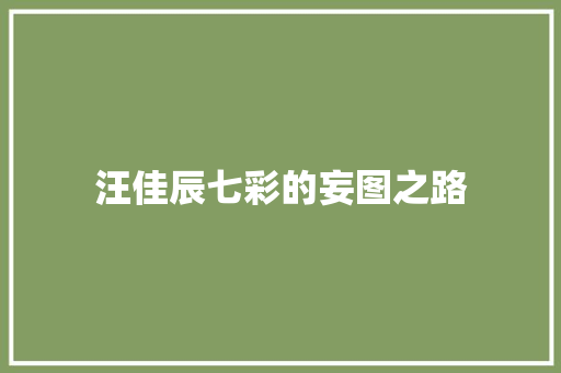 汪佳辰七彩的妄图之路