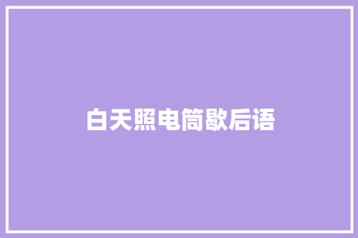 白天照电筒歇后语