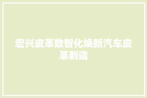 宏兴皮革数智化焕新汽车皮革制造 汽车知识
