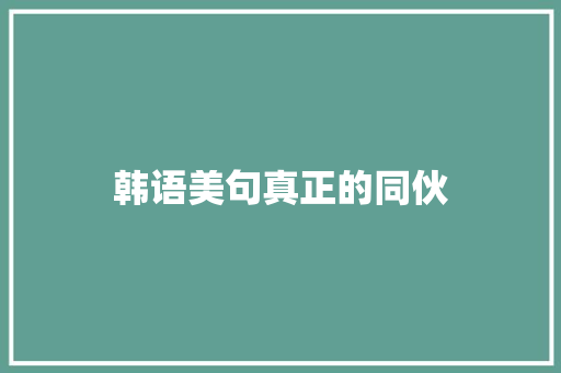 韩语美句真正的同伙