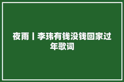 夜雨丨李玮有钱没钱回家过年歌词