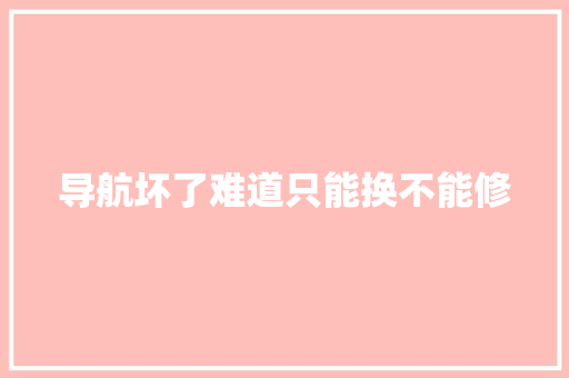 导航坏了难道只能换不能修 汽车知识