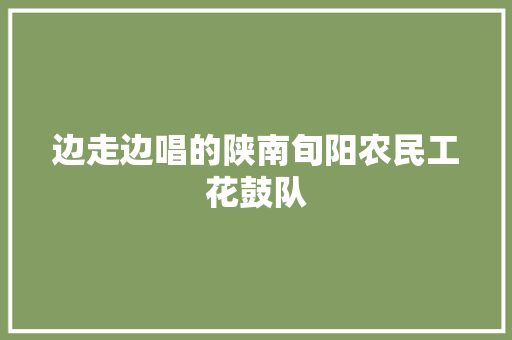 边走边唱的陕南旬阳农民工花鼓队