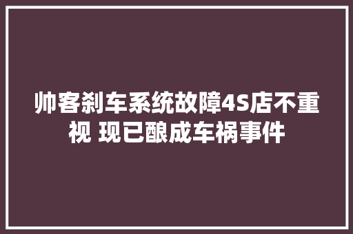 帅客刹车系统故障4S店不重视 现已酿成车祸事件