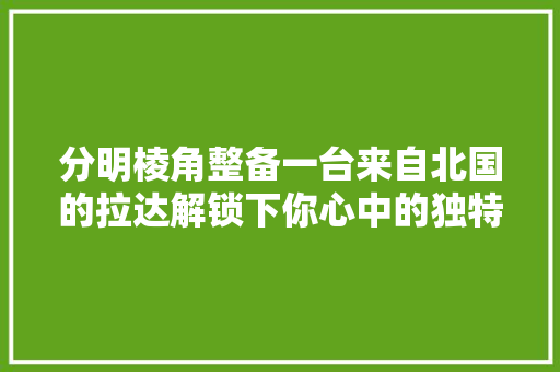分明棱角整备一台来自北国的拉达解锁下你心中的独特小个性
