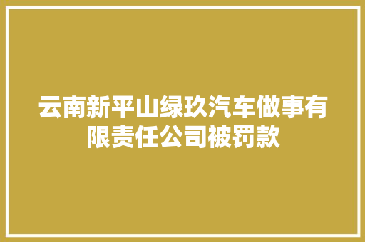 云南新平山绿玖汽车做事有限责任公司被罚款