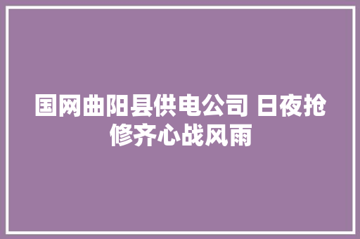 国网曲阳县供电公司 日夜抢修齐心战风雨