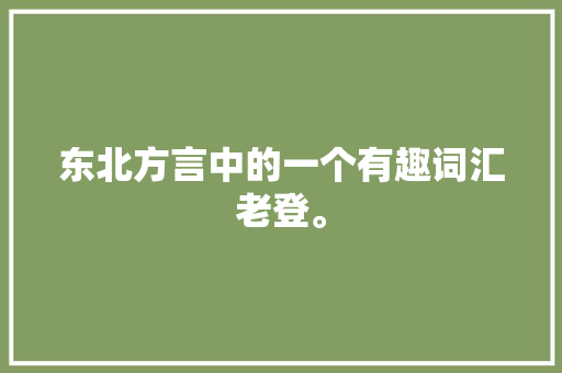东北方言中的一个有趣词汇老登。