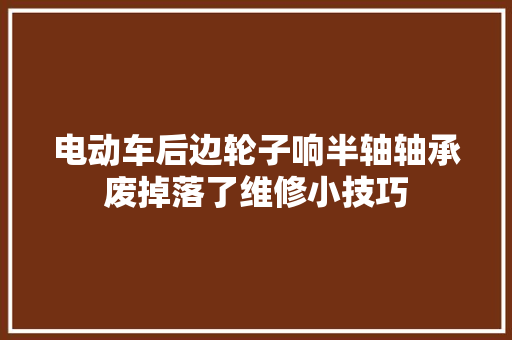 电动车后边轮子响半轴轴承废掉落了维修小技巧