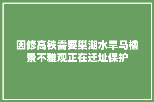 因修高铁需要巢湖水旱马槽景不雅观正在迁址保护