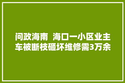 问政海南  海口一小区业主车被断枝砸坏维修需3万余元 物业只能赔7000元