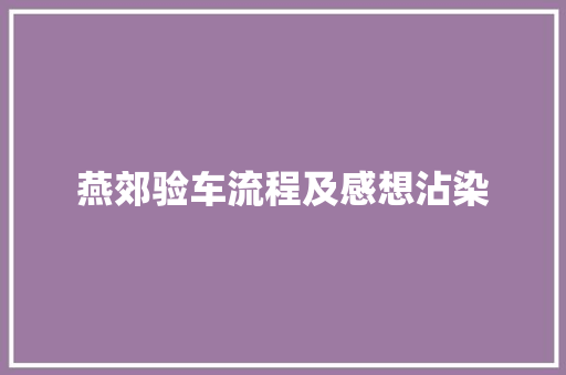 燕郊验车流程及感想沾染