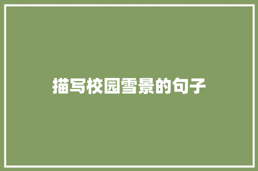 描写校园雪景的句子