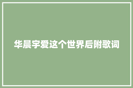 华晨宇爱这个世界后附歌词