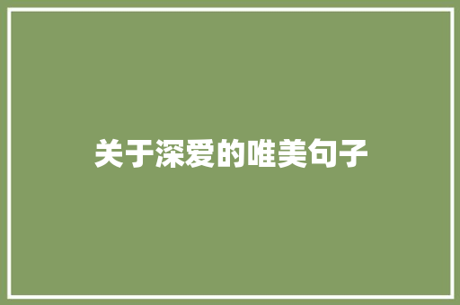 关于深爱的唯美句子