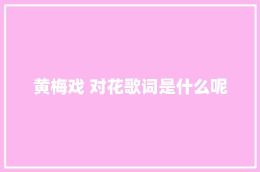 黄梅戏 对花歌词是什么呢 休闲娱乐