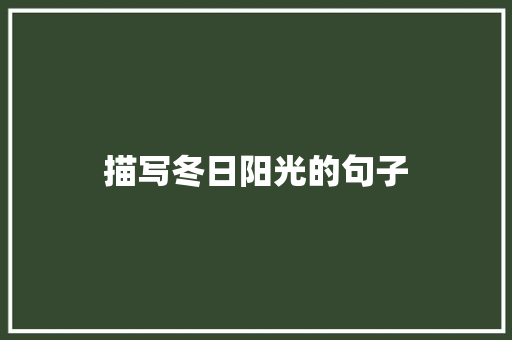 描写冬日阳光的句子