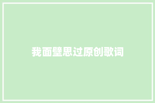 我面壁思过原创歌词