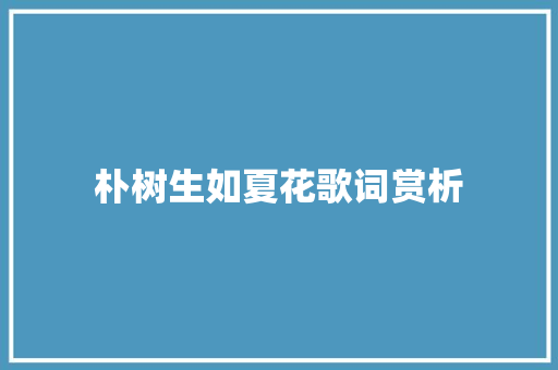 朴树生如夏花歌词赏析