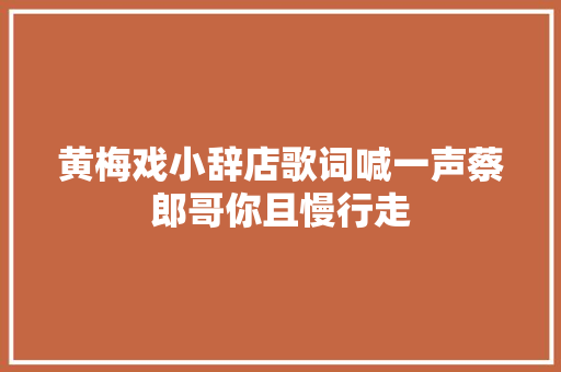 黄梅戏小辞店歌词喊一声蔡郎哥你且慢行走