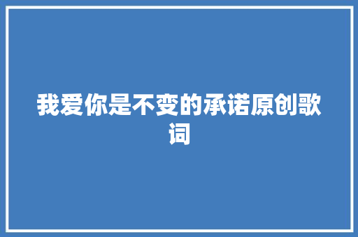 我爱你是不变的承诺原创歌词