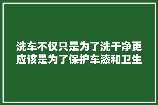 洗车不仅只是为了洗干净更应该是为了保护车漆和卫生  汽车知识