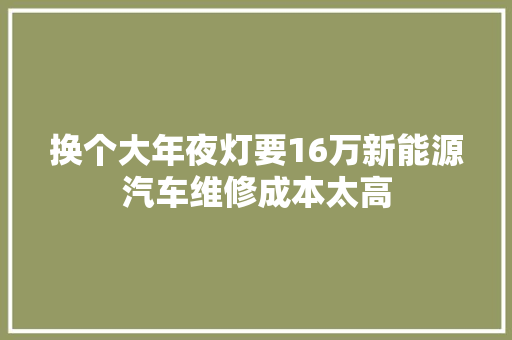 换个大年夜灯要16万新能源汽车维修成本太高