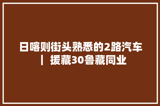 日喀则街头熟悉的2路汽车 ｜ 援藏30鲁藏同业