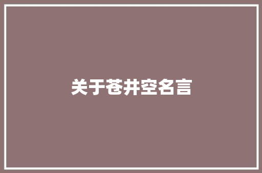 关于苍井空名言
