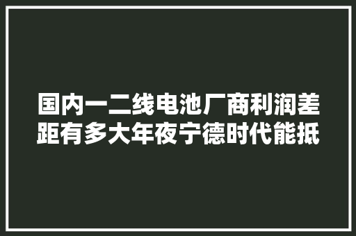国内一二线电池厂商利润差距有多大年夜宁德时代能抵10个亿纬锂能